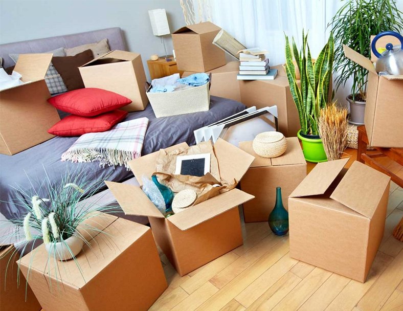 Domestic Shifting